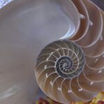 Golden Ratio Code – Sacred Geometry is the Medicine of the Universe